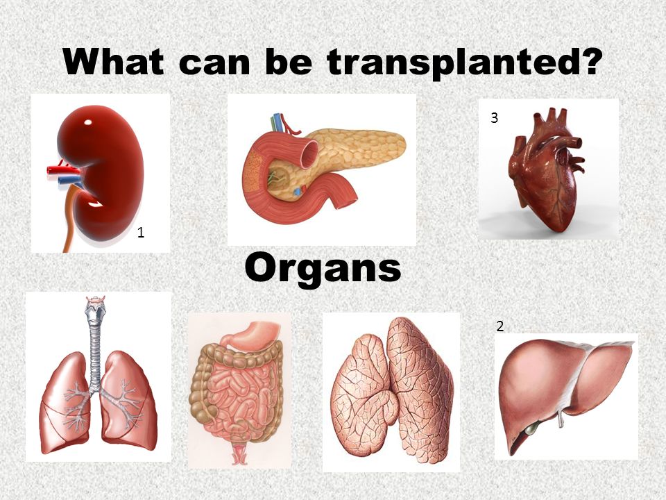 Get to know about the types of Organ Transplantation