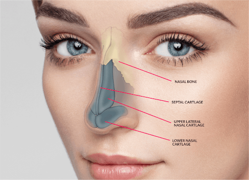 What are the advantages of getting a nose surgery in Istanbul?