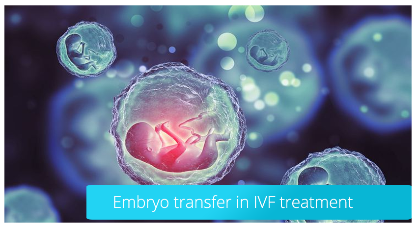The features and advantages of IVF Treatment in Turkey